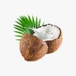 Casillero Diablo Cabernet Sauvignon