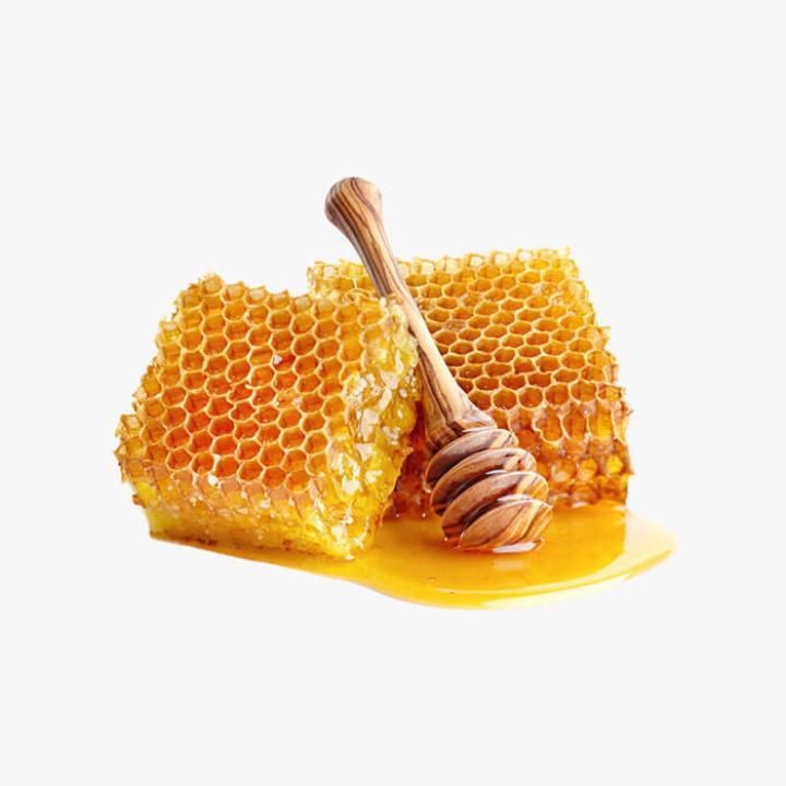 Bar S – Classic Bun Length Franks